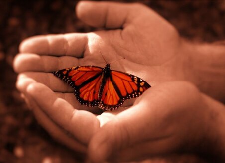 0326957c03090a1d531b10e64e1a319e1b57e1e4 0326957c03090a1d531b10e64e1a319e1b57e1e4