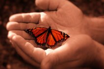 4c50304afde27b6800ee0a69f939269385758b60