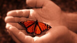 84b53033f980e79bcd3457be74d1305f9e022626