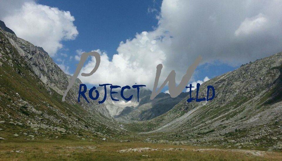 b0e6e7e84466859af93bc90a3bf696e9897c2e8d