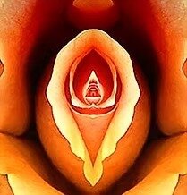 imgi_17_yoni_rose_jpg 2015-9-27-16_37_59.jpeg