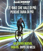 wd99-fatbike-rockers-106