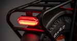 wd99-fatbike-rockers-106