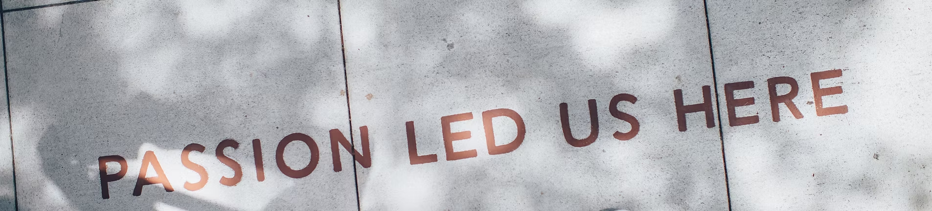 imgi_2_nsplsh_4cd49cab78db43e19befbd365f14320a~mv2