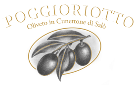 imgi_2_logo-poggioriotto