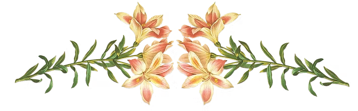 41d000_c22b323dcd0ef2c5a8e81c020f1313c4