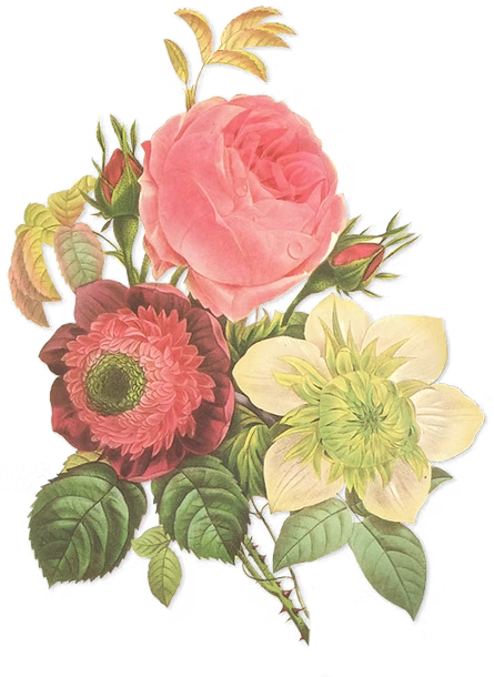 41d000_867d9a3d8b97e7f81b86c1feadd8f253