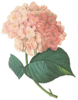 41d000_3f8705fd5463fed21d400837f8eebb61