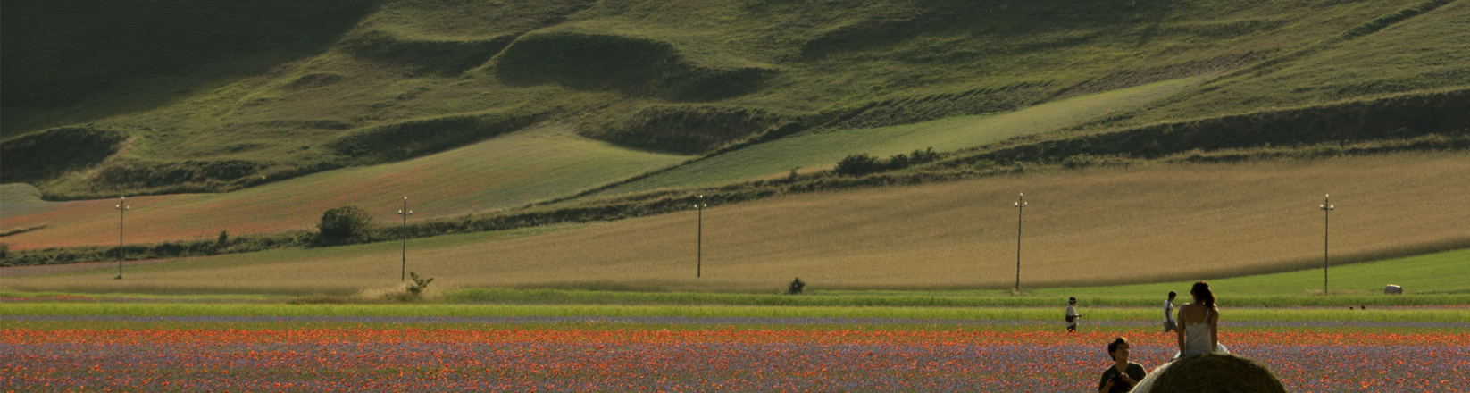schermata 2025-08-22 alle 13.01.52
