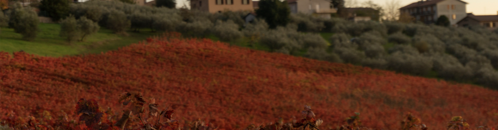 schermata 2025-08-22 alle 13.01.29