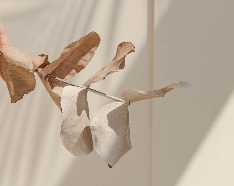 imgi_4_cliente settore sanitario copia imgi_4_cliente settore sanitario copia