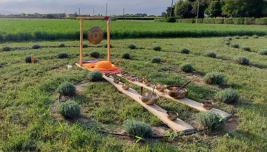 Disposizione di campane tibetane e gong in un campo per benessere naturale.