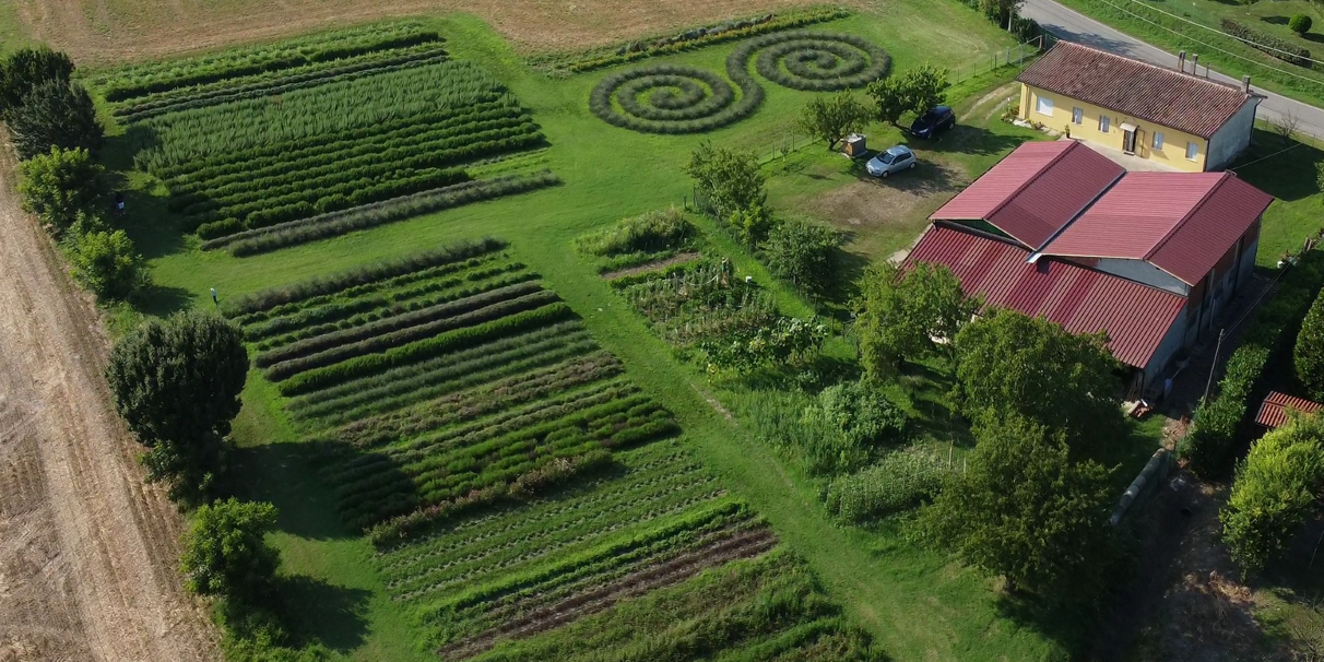 Vista aerea di un giardino con piante officinali e un edificio rurale