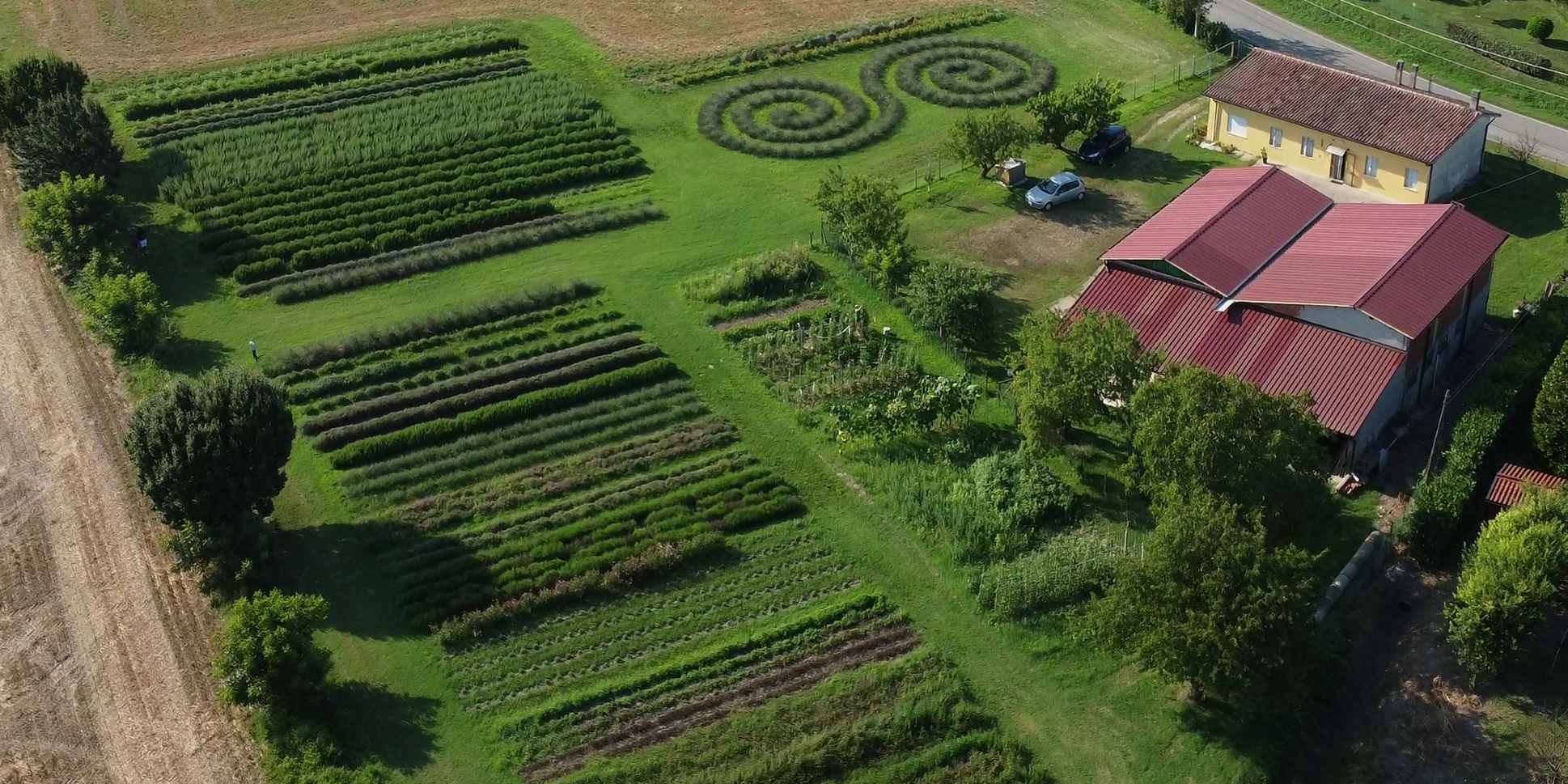 Veduta aerea di un campo di piante officinali a Conselve, con giardini a spirale e una casa rustica.