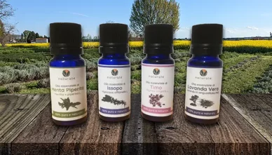 Bottiglie di oli essenziali naturali con piante officinali sullo sfondo