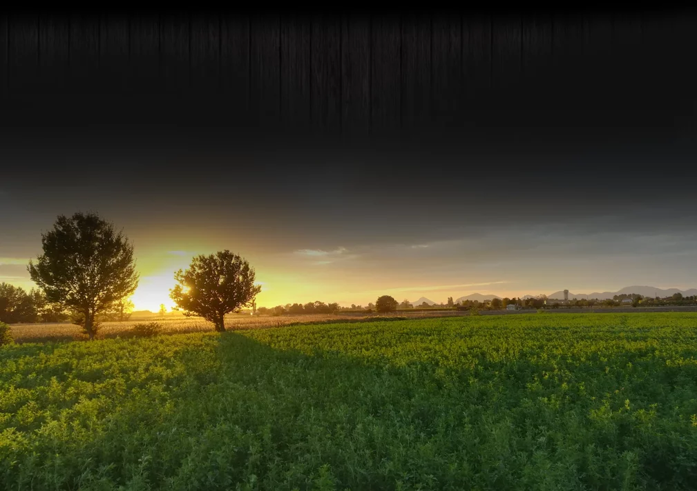 Tramonto su campo verde con alberi e montagne sullo sfondo