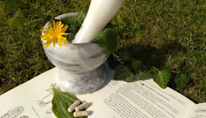 Mortaio con fiori e foglie su libro di erboristeria all'aperto