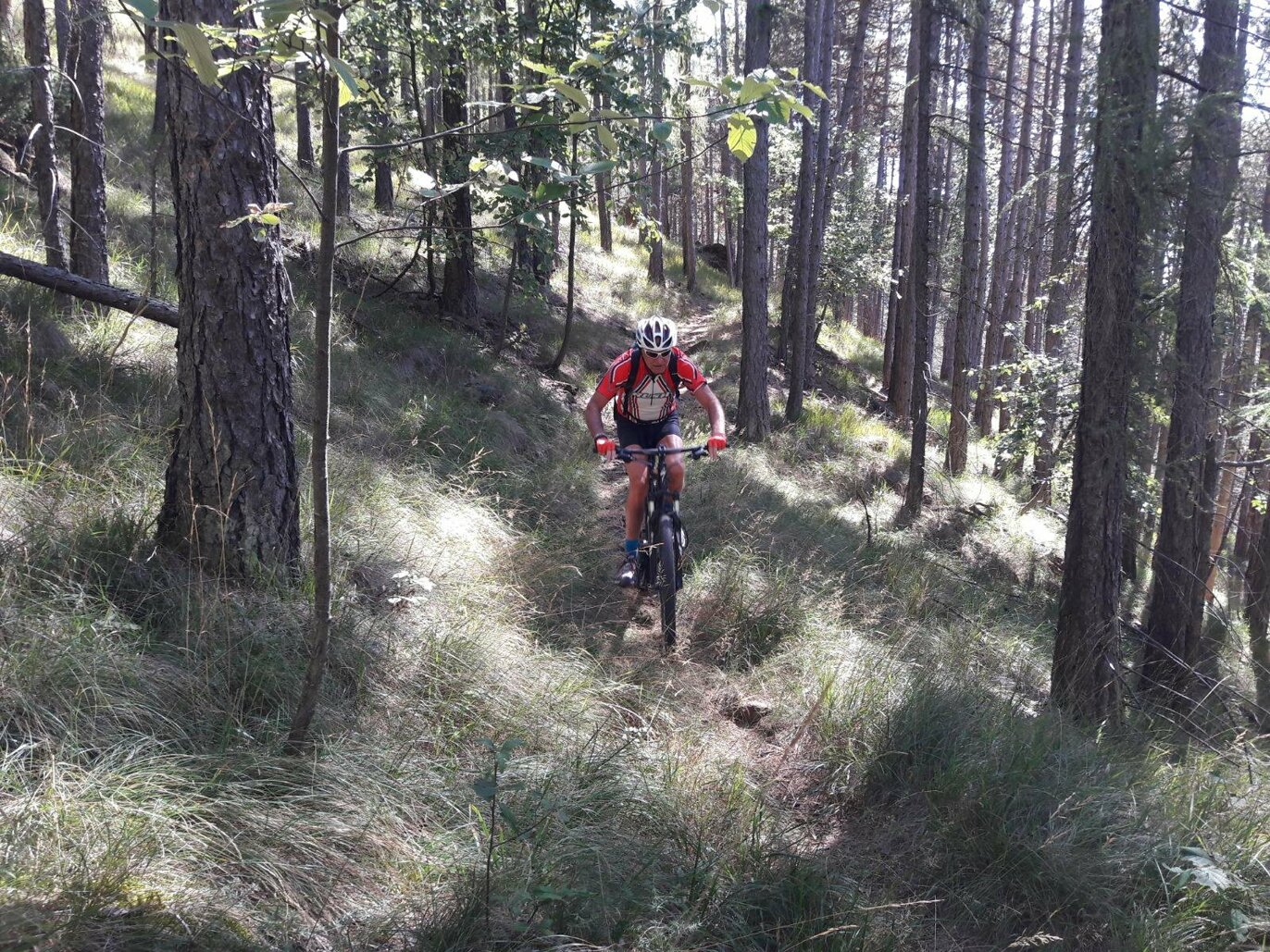 73d3ce5d720ee0170fcf617567bd2b76b7fce533