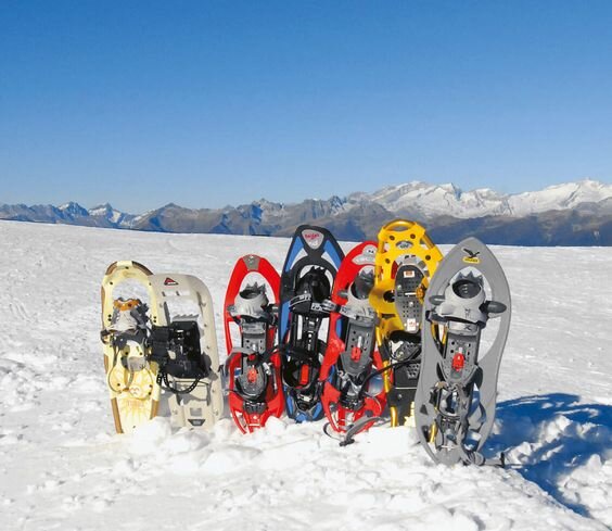 743aa6dbecfb7934689bfd6b5690d5cf5ff90363