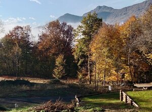 83490377fcf7aa92b7c3482521db46d781f69f05