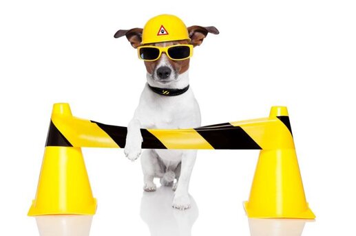 work-in-progres-dog work-in-progres-dog