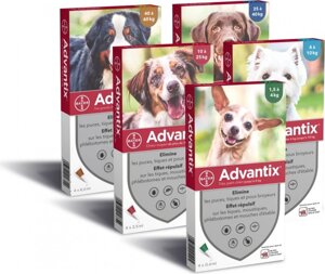 bayer-advantix-spot-on-cane