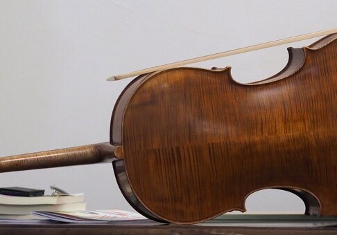 violoncello_ puck.jpeg