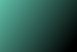 skin_pptx_spain