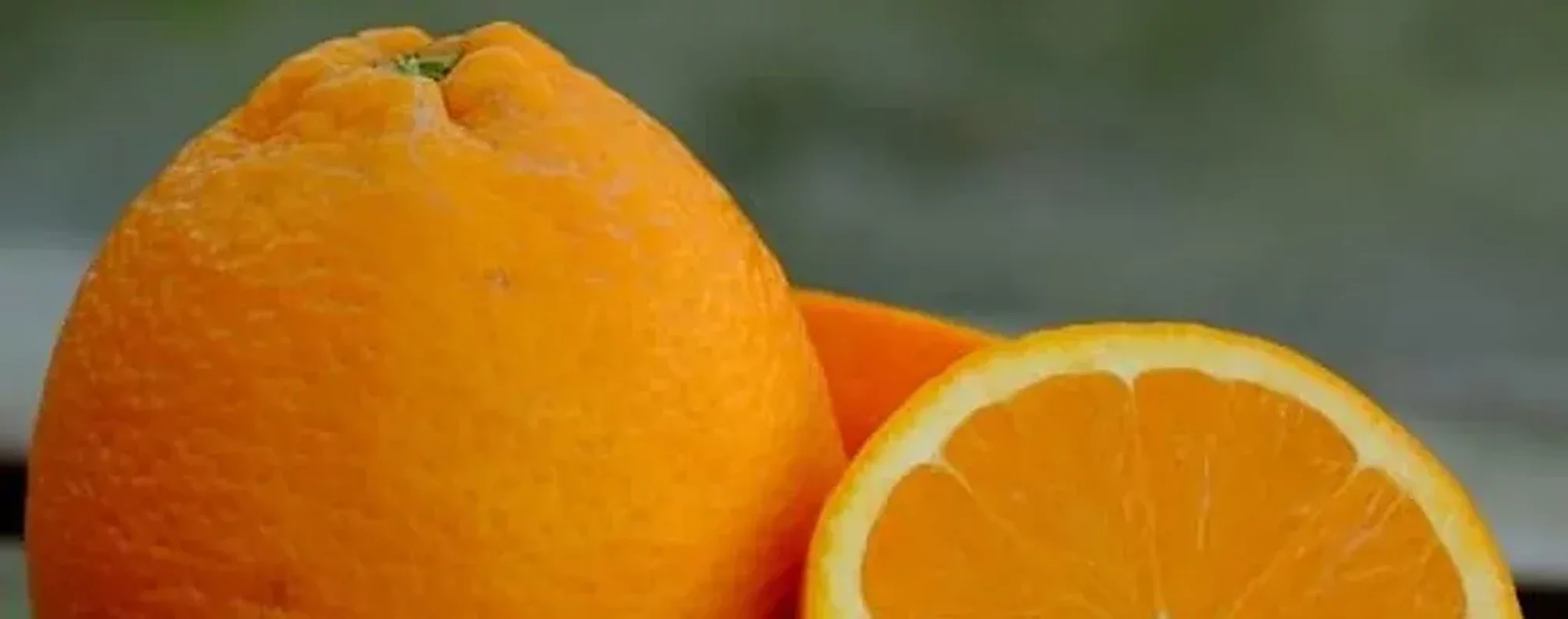 Vendita online di Arance Bionde Calabresi Biologiche