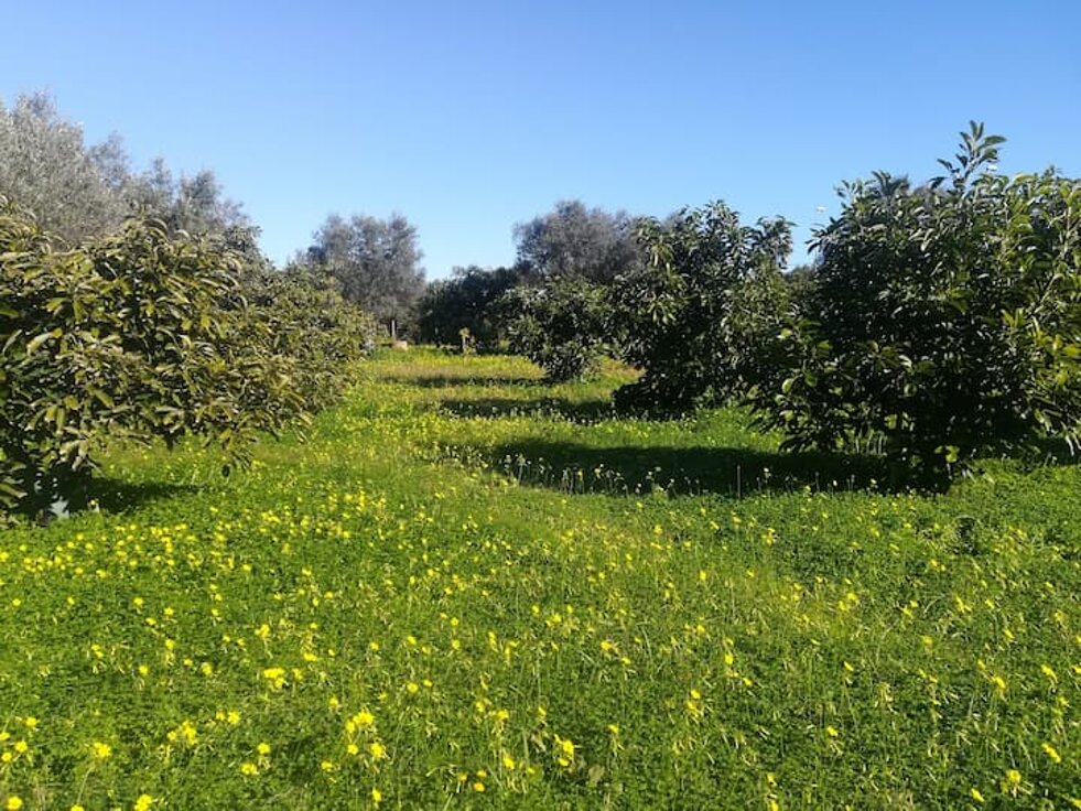 eyJmciI6IkxhIG5hdHVyZSBkb2l0IOp0cmUgcmVzcGVjdOllIiwiaXQiOiJMYSBuYXR1cmEgdmEgcmlzcGV0dGF0YSIsImVuIjoiTmF0dXJlIG11c3QgYmUgcmVzcGVjdGVkIiwiZGUiOiJEaWUgTmF0dXIgbXVzcyByZXNwZWt0aWVydCB3ZXJkZW4ifQ==