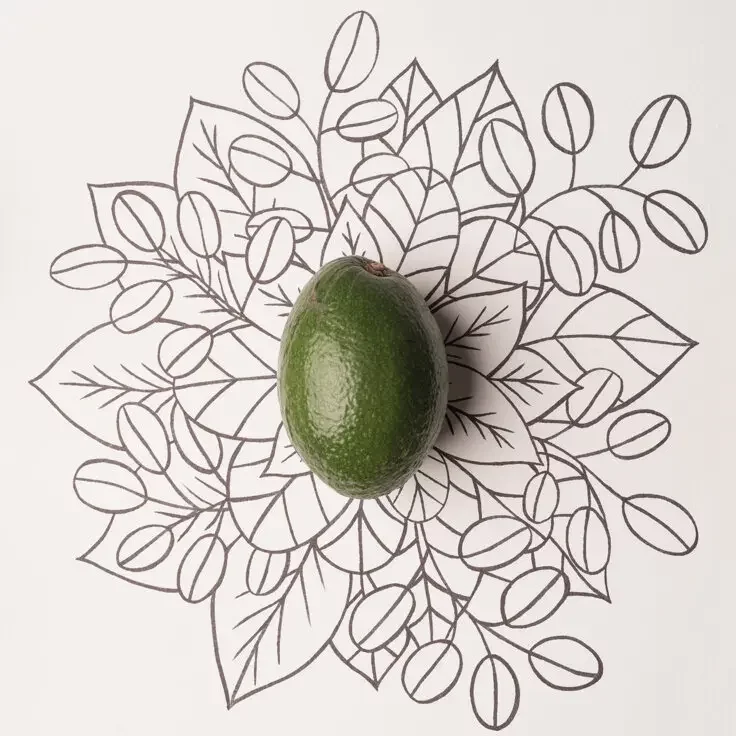avocado con cornice