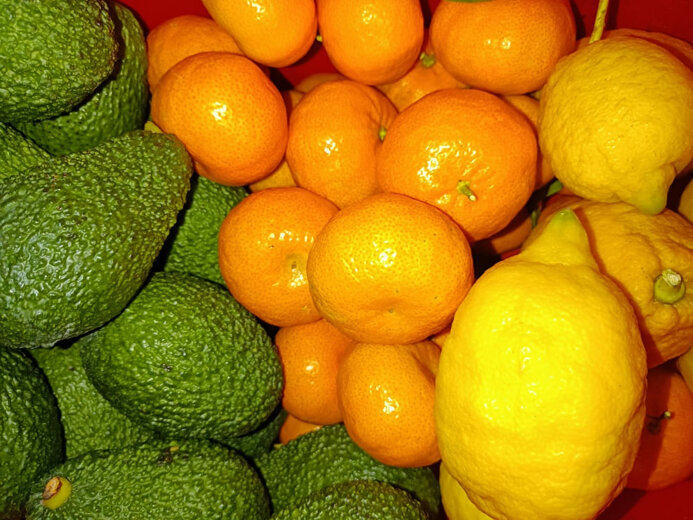 eyJlbiI6Ik9yZ2FuaWMgQ2l0cnVzIEZydWl0cyBPbmxpbmUgU2FsZSIsIml0IjoiQWdydW1pIEJpb2xvZ2ljaSBWZW5kaXRhIE9ubGluZSIsImRlIjoiQmlvLVppdHJ1c2Zy/GNodGUgT25saW5lIFZlcmthdWYiLCJmciI6IkFncnVtZXMgQmlvbG9naXF1ZXMgVmVudGUgZW4gTGlnbmUifQ==