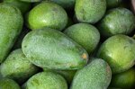 avocado-fuerte-bio