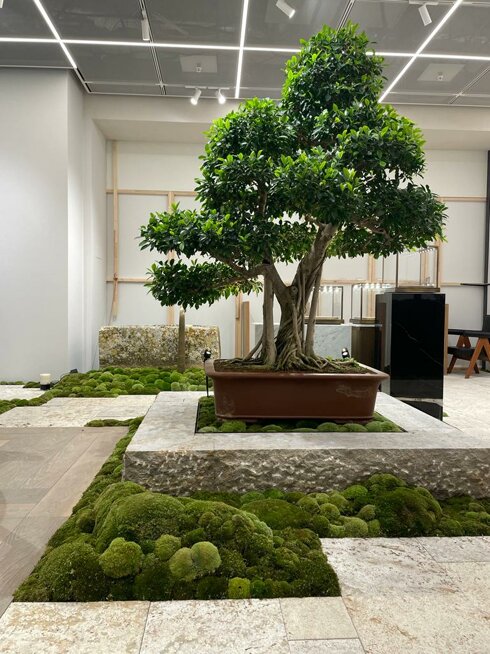 Timeless values Globus Enea Bucherer concept installation