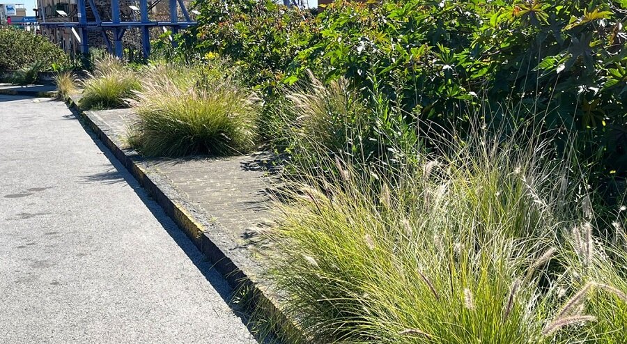 whatsapp-image-2026-04-02-at-13.27.14-(2).jpeg
