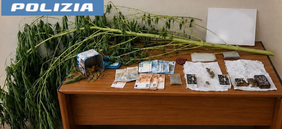 spaccia-dai-domiciliari-nel-giardino-di-casa-aveva-coltivato-una-pianta-di-marijuana.-pregiudicato-arrestato-dalla-polizia-di-stato.jpeg spaccia-dai-domiciliari-nel-giardino-di-casa-aveva-coltivato-una-pianta-di-marijuana.-pregiudicato-arrestato-dalla-polizia-di-stato.jpeg