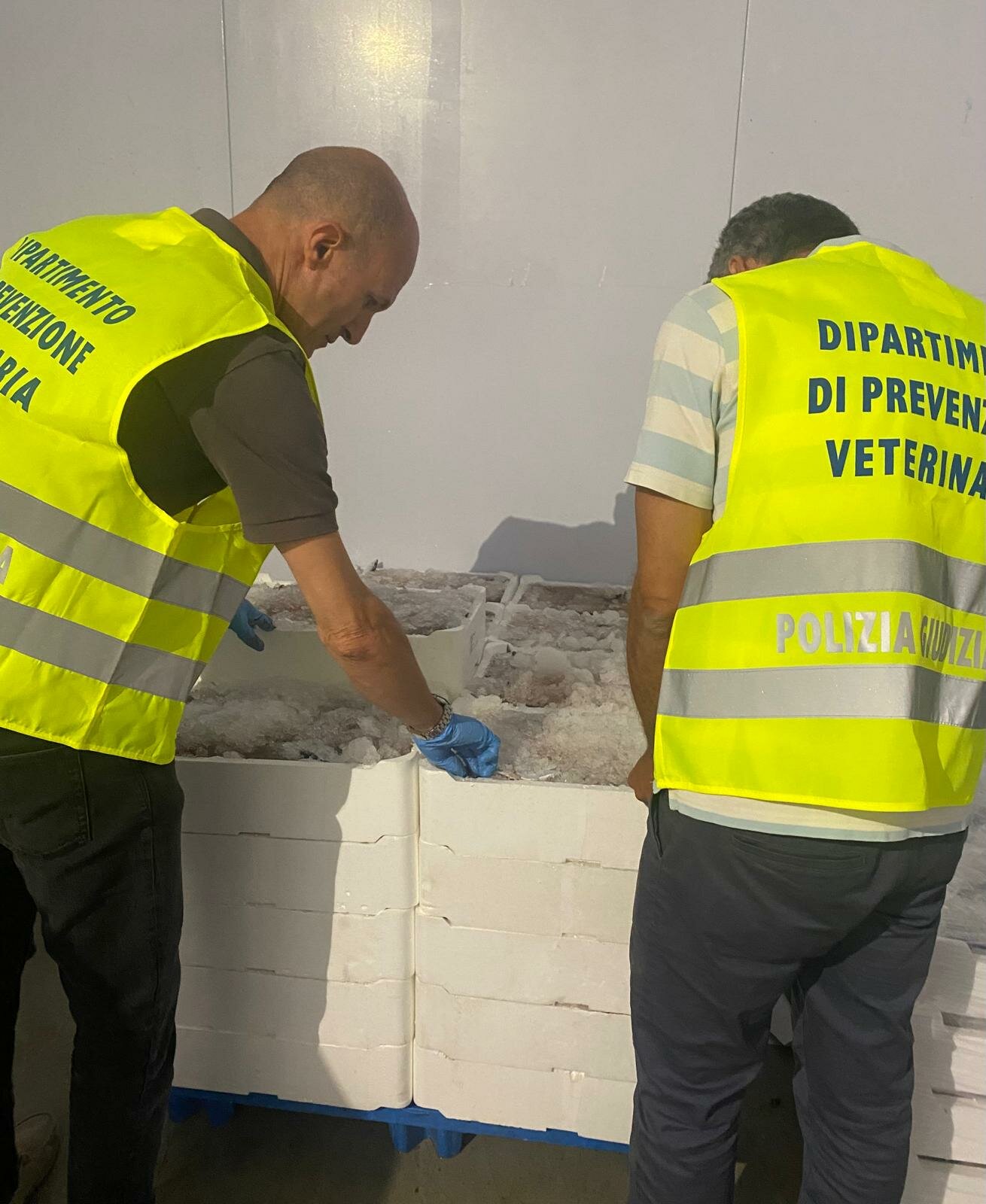 Prevenzione veterinaria. Catania protagonista della prima Giornata Nazionale