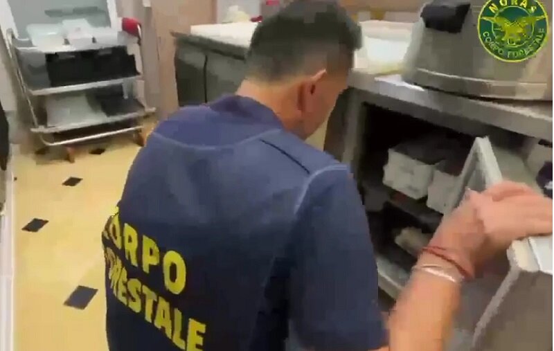 Controlli della task force coordinata dalla Polizia di Stato in un chiosco-panineria della Scogliera e in un ristorante etnico della Plaia