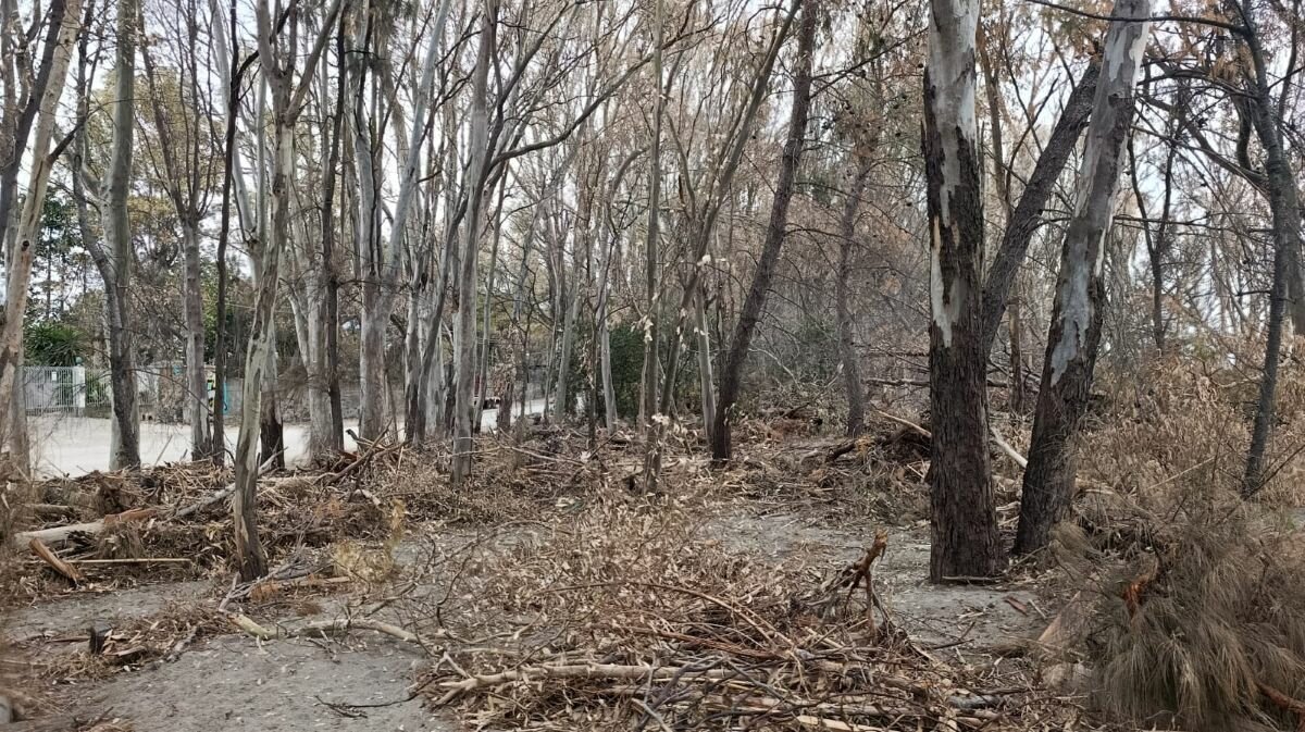 Flashmob del movimento civico “Rilanciamo Marina di Cottone – San Marco”