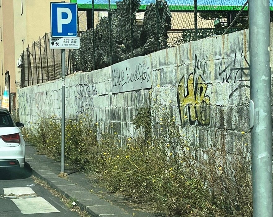 Degrado dei marciapiedi a 'Borgo-Sanzio', le richieste della consigliera Angela Cerri Degrado dei marciapiedi a 'Borgo-Sanzio', le richieste della consigliera Angela Cerri