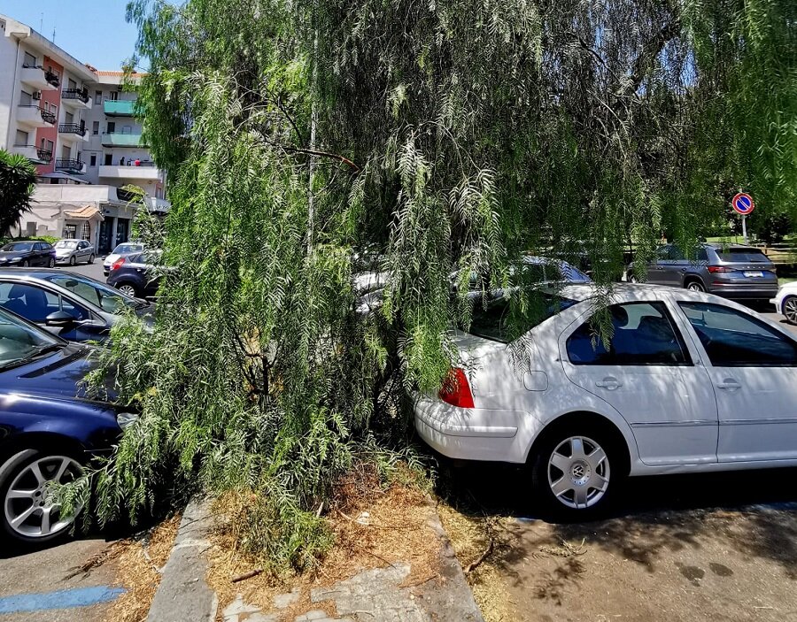maria-spampinato-borgo-sanzio-intervnti-via-giuffrida-castorina-e-piazza-aldo-moro-(2).jpeg