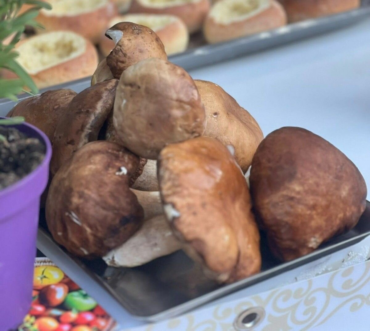 Festival Etneo del Porcino: valorizzazione delle tradizioni gastronomiche della Sicilia
