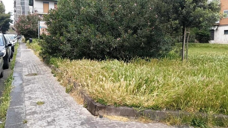 Manutenzione verde pubblico a &lsquo;Borgo-Sanzio&rsquo;, la denuncia del Comitato Cittadino Vulcania