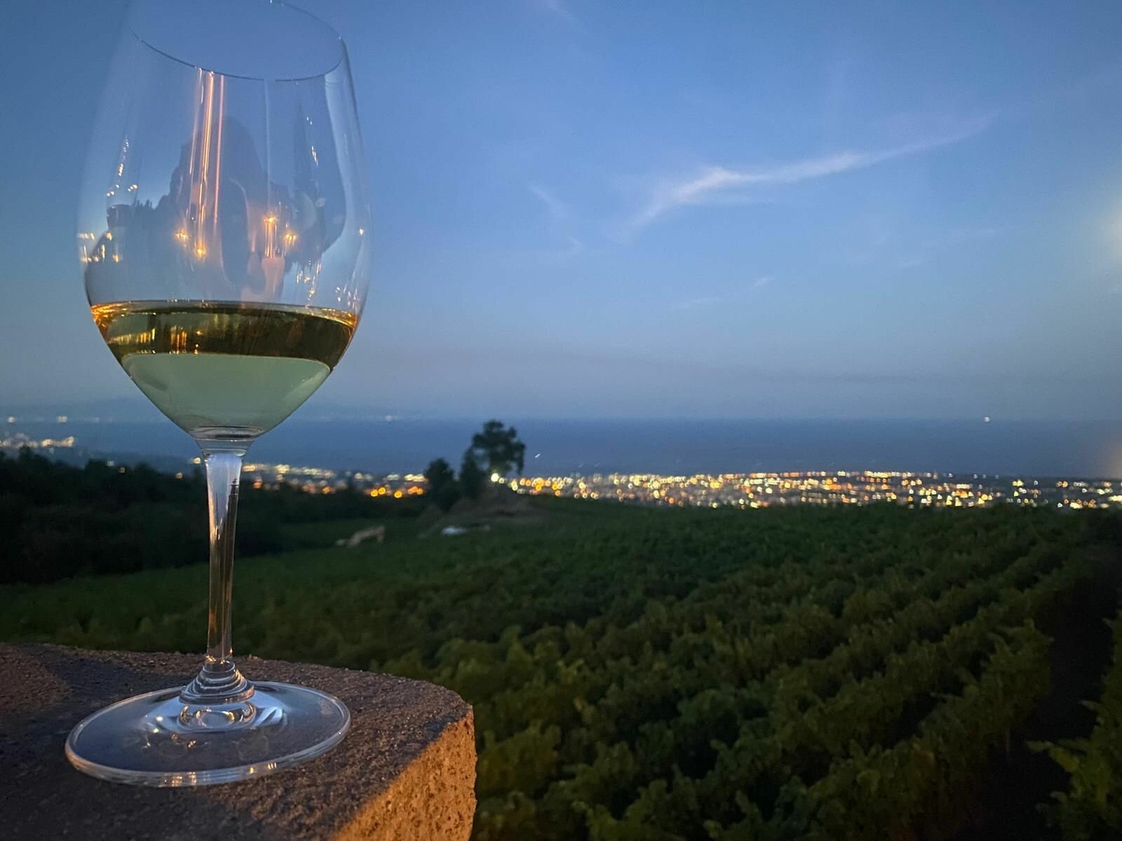 ViniMilo numero 46: la&nbsp;storica festa pre-vendemmia