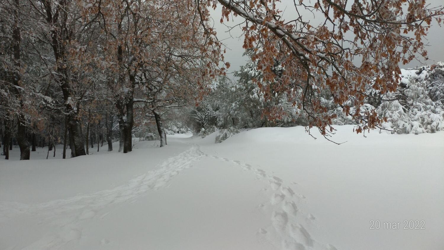 etna-inverno.jpeg etna-inverno.jpeg