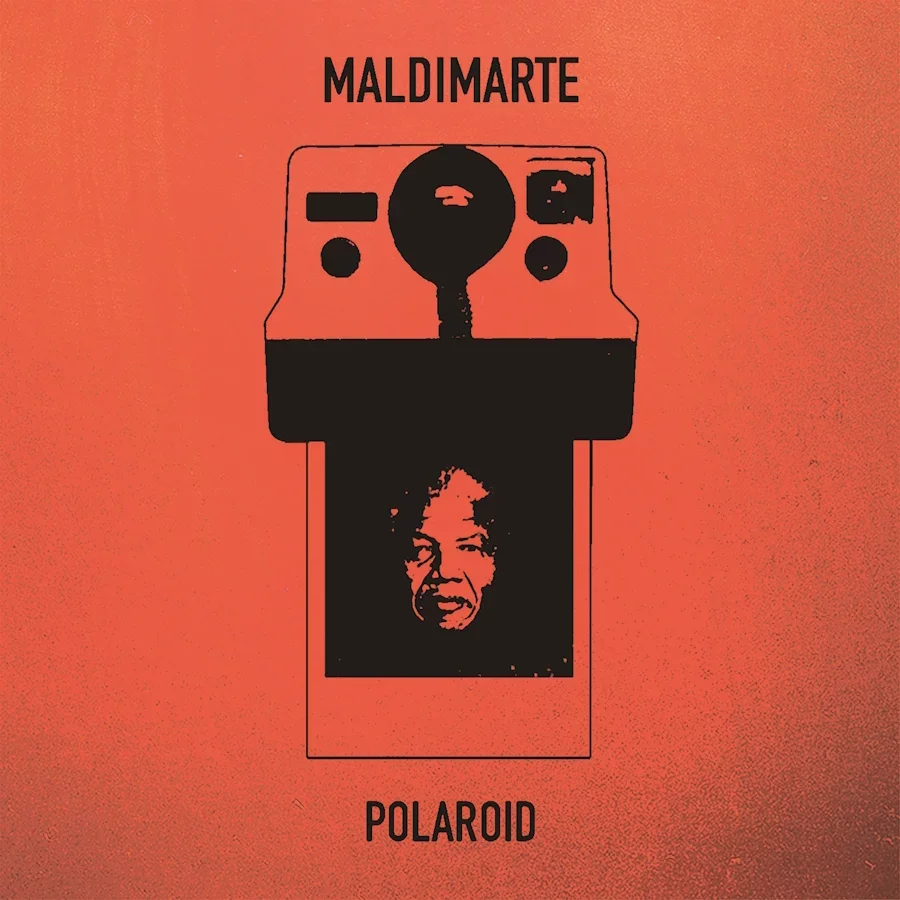 polaroid.webp
