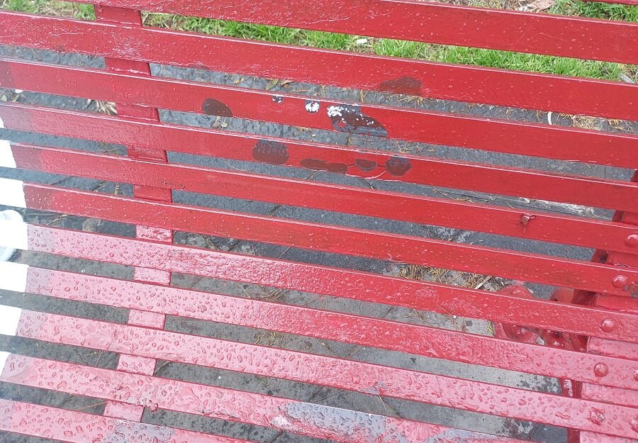 Vandalizzata la panchina del Ricordo in piazza Cavour