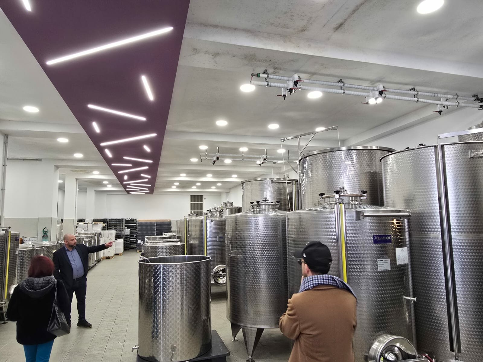 azienda-costa-oro-detna-cantina.jpg.jpeg
