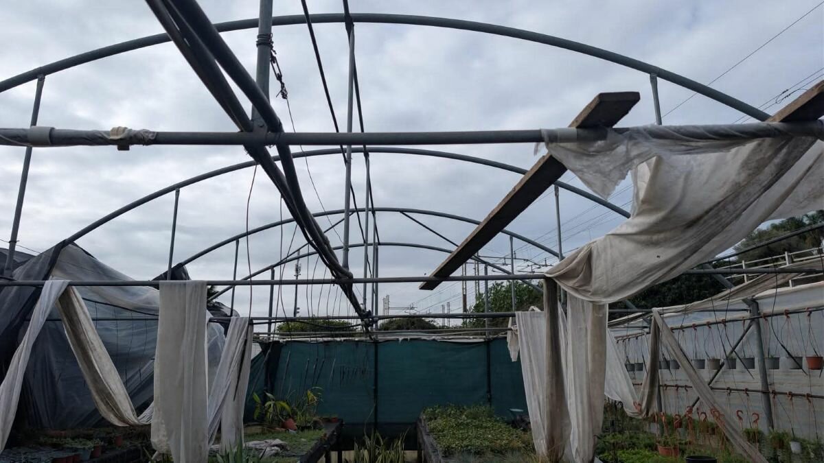 Agricoltura catanese al collasso dopo il ciclone Harry: la denuncia di Azione Catania