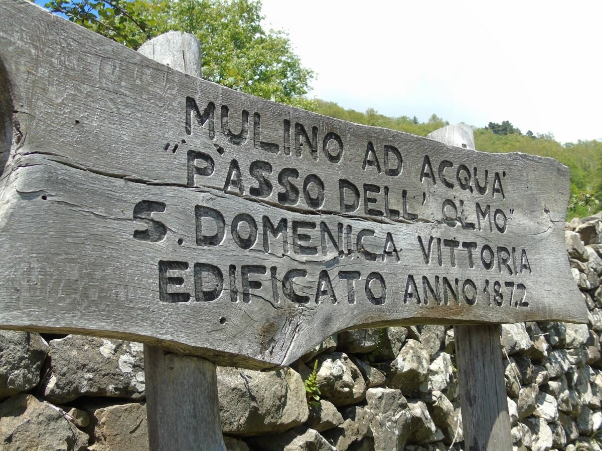 mulino.jpeg